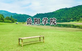 2024岳阳学院录取分数线：天津最低485分