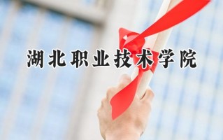湖北职业技术学院2024在山东录取分数线是多少？最低431分/最高471分