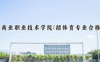 山东商业职业技术学院(招体育专业合格考试)2024在山东录取分数线是多少？最低359分/最高384分