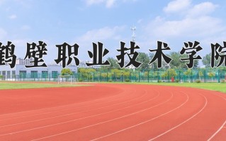 2024鹤壁职业技术学院录取分数线：浙江最低438分