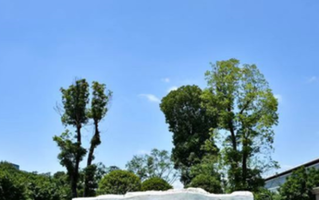 四川高考515分文科能上什么大学？附2024年可以报考的大学名单