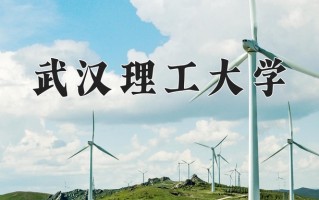 2024武汉理工大学排名-最新全国排名第35位