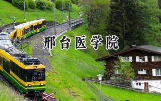 邢台医学院2024在内蒙古录取分数线是多少？最低316分/最高383分
