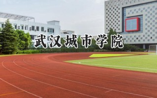 武汉城市学院2024在福建录取分数线是多少？最低438分/最高484分