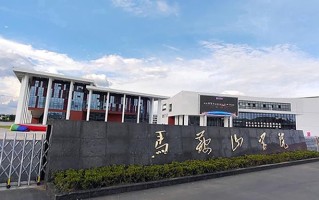 马鞍山学院王牌专业排名-含2025年全国各省录取最低分数线