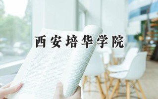 西安培华学院2024在青海录取分数线是多少？最低334分/最高410分