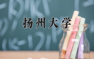 江苏583分能上什么好大学？附2025年可以报考的大学名单