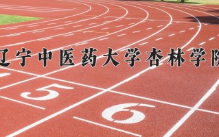 辽宁考生多少分能上辽宁中医药大学杏林学院？2025最低416分