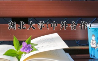 2025年湖北大学(中外合作)在四川计划招生人数（附学费及专业录取分)