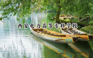 2024西安电力高等专科学校录取分数线：陕西最低402分