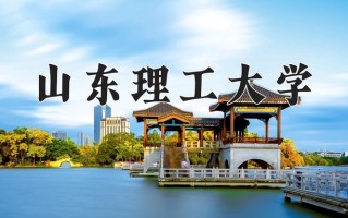 山东理工大学最厉害的专业-2024山东理工大学最好专业