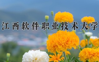 陕西238分能上什么大学？附2025年可以报考的大学名单