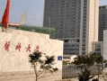 2024年安徽医科大学录取分数线，河北最低532分
