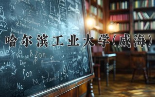 2024年哈尔滨工业大学(威海)录取分数线，内蒙古最低589分