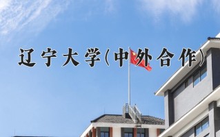 2025年辽宁大学(中外合作)在四川计划招生人数（附学费及专业录取分)
