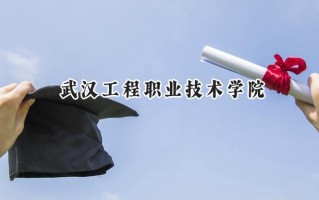 2024武汉工程职业技术学院录取分数线：江苏最低320分