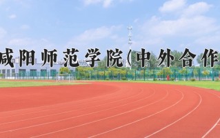 2025年咸阳师范学院(中外合作)在重庆计划招生人数（附学费及专业录取分)