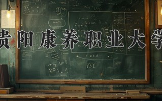 2024贵阳康养职业大学录取分数线，重庆录取最低分498