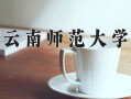 2024云南师范大学录取分数线，重庆录取最低分510