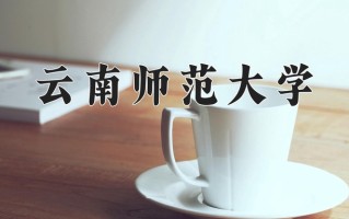 2024云南师范大学录取分数线，重庆录取最低分510