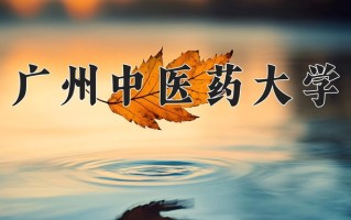 广州中医药大学全国排名（含广州中医药大学最强专业解析）