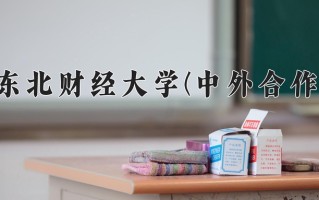 2025年东北财经大学(中外合作)在四川计划招生人数（附学费及专业录取分)