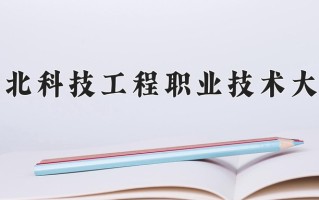 陕西391分能上什么大学？附2025年可以报考的大学名单