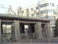 天津医科大学全国排名及2024年最低录取分数线