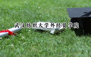 武汉纺织大学外经贸学院2024在江苏录取分数线是多少？最低304分/最高490分