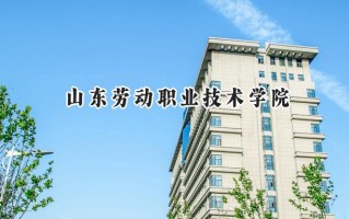 2024山东劳动职业技术学院录取分数线：河南最低310分