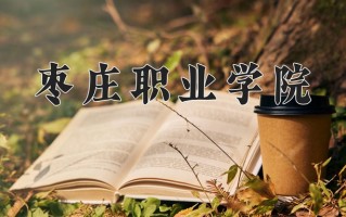 辽宁考生多少分能上枣庄职业学院？2025最低308分