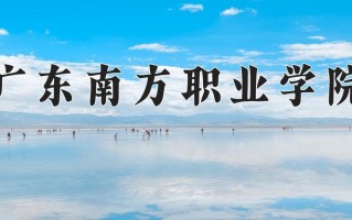 2025年广东南方职业学院在四川计划招生人数（附学费及专业录取分)
