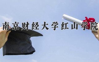南京财经大学红山学院学费多少钱一年：18000-19800元/年（2025填报参考）