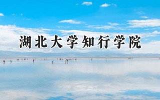 湖北大学知行学院2024在福建录取分数线是多少？最低453分/最高499分