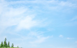 2024张家界学院录取分数线：最低328分（含各专业录取最低分）