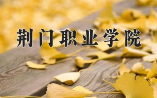 2025年荆门职业学院在四川计划招生人数（附学费及专业录取分)