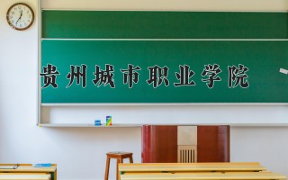 2024年贵州城市职业学院录取分数线，河北最低254分