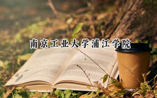 南京工业大学浦江学院2024在上海录取分数线是多少？最低408分/最高427分