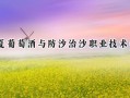 宁夏葡萄酒与防沙治沙职业技术学院2024在内蒙古录取分数线是多少？最低198分/最高256分