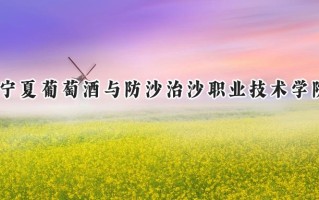 宁夏葡萄酒与防沙治沙职业技术学院2024在内蒙古录取分数线是多少？最低198分/最高256分