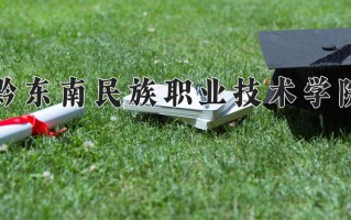 2025年黔东南民族职业技术学院在四川计划招生人数（附学费及专业录取分)