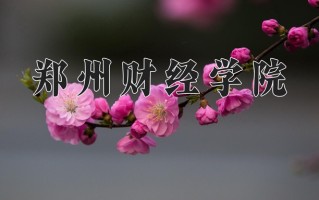 郑州财经学院最厉害的专业-2024郑州财经学院最好专业