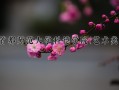 2024年首都师范大学科德学院(艺术类)录取分数线，河北最低452分