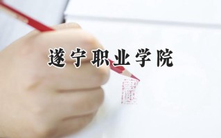 2024遂宁职业学院录取分数线：宁夏最低201分