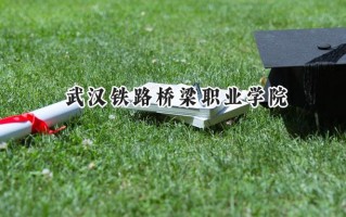 2024武汉铁路桥梁职业学院录取分数线：江苏最低351分