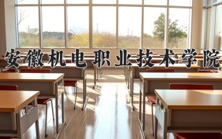 2024年安徽机电职业技术学院招生章程，附办学层次和录取规则