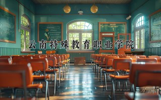 2024年云南特殊教育职业学院录取分数线，河北最低282分