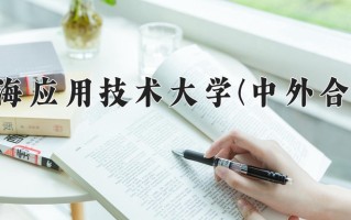 2025年上海应用技术大学(中外合作)在四川计划招生人数（附学费及专业录取分)