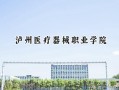 泸州医疗器械职业学院2024在青海录取分数线是多少？最低253分/最高297分