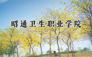 昭通卫生职业学院2024在青海录取分数线是多少？最低246分/最高382分